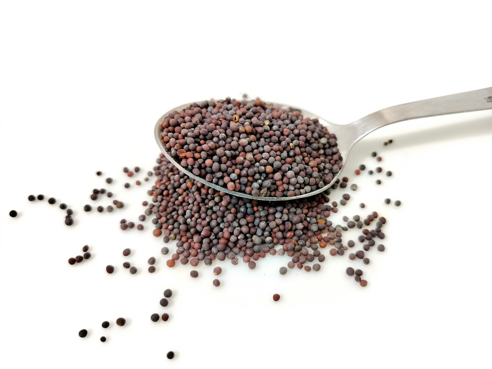 A steel spoon heaped with small dark mustard seeds on a white surface